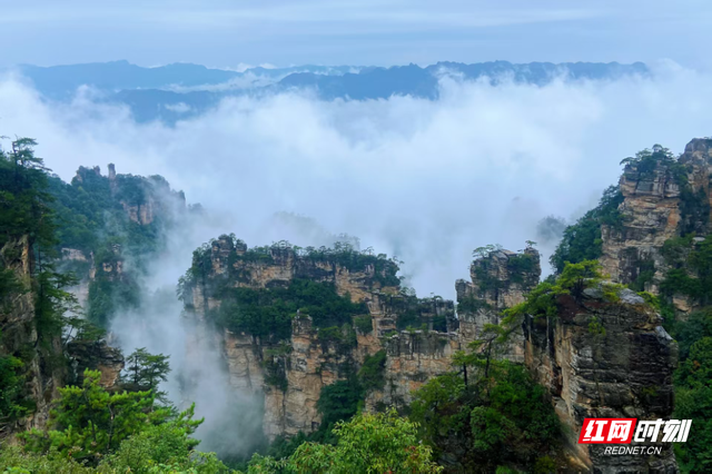 雾锁杨家界峰墙，雨后张家界藏着夏天的浪漫