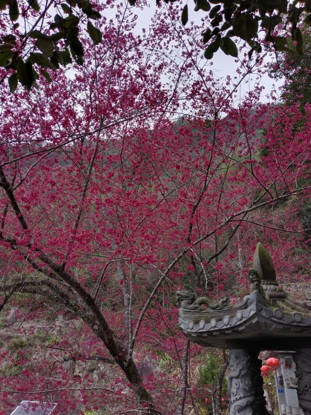 古田鹤塘·佳垅：三县交界的灵韵地标