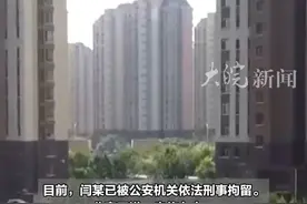 夫妻吵架将刀扔出窗外砸中外卖员 高空抛物有多危险？图片