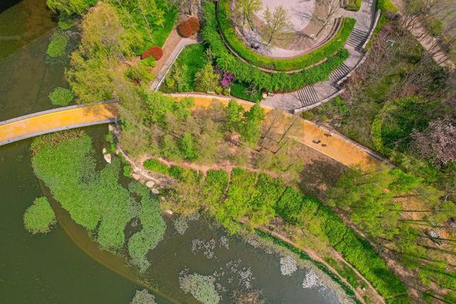 李村河畔，春和景明