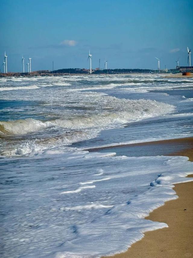 去什么北海道，冬日里的威海不是“平替”，是天花板！