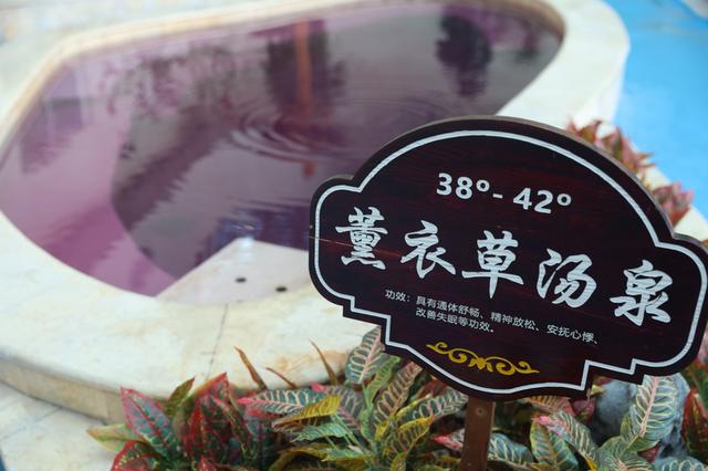 第五届英杰寒地温泉旅游文化节启幕 文旅融合解锁东北冬日新玩法