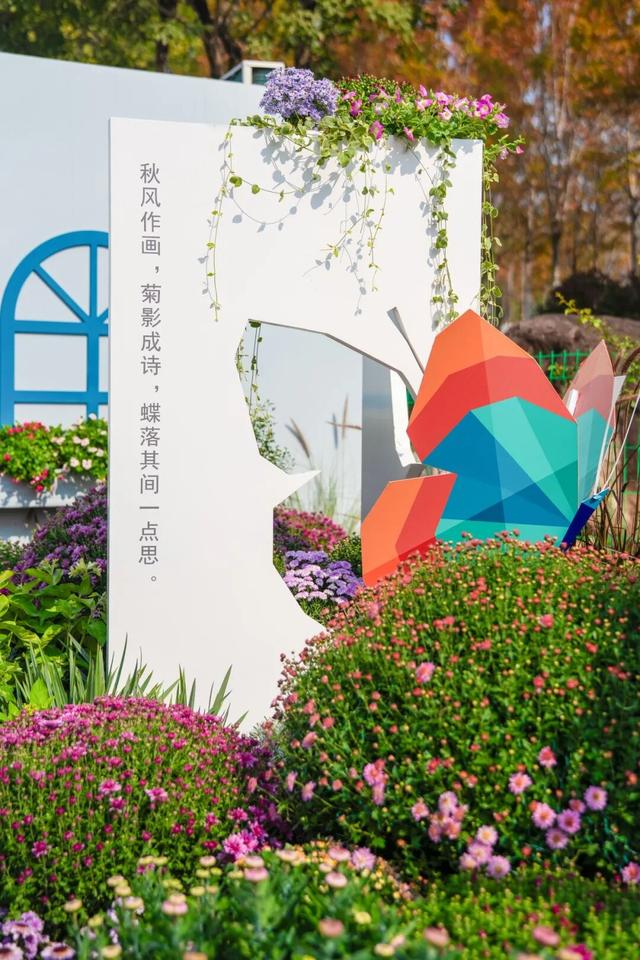 2025武汉菊展17大展区地点官宣！超全赏花攻略+亮点抢先看→