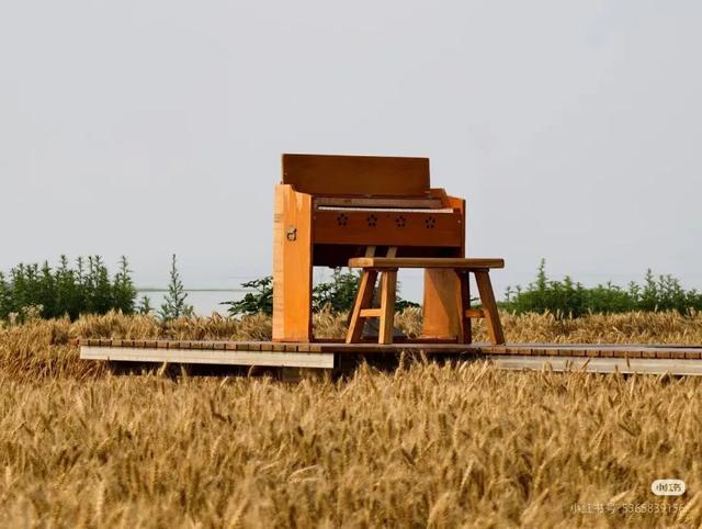 立冬第一游去哪里？淮安5处目的地，这个时节美翻了！