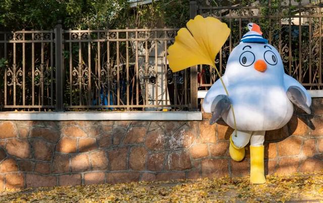 限定周边等你拿！青岛海鸥季打卡全攻略，超多玩法速看→