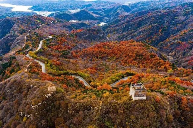 五彩斑斓！北京“漫山红叶”进最佳观赏期!