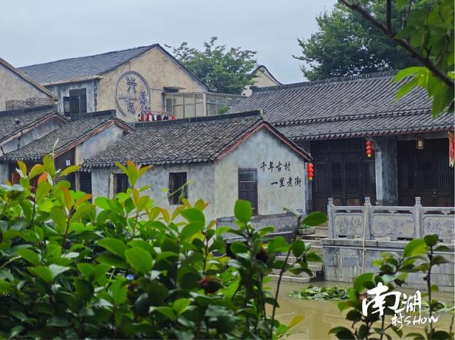 南湖村SHOW∣兴善新民