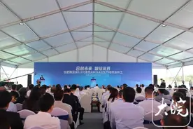 550亿元项目在合肥新站开工 将给“全球显示之都”带来什么？图片