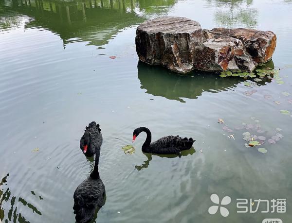 解锁江南春日多元体验 20条春季乡村游线路邀你体验