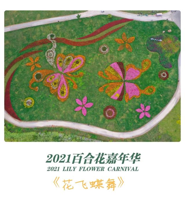 太平湖国庆百合嘉年华即将上线！