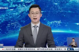 自贸区“速度”叠加上海“高度” 文物艺术品交易开启“浦东模式”视频封面