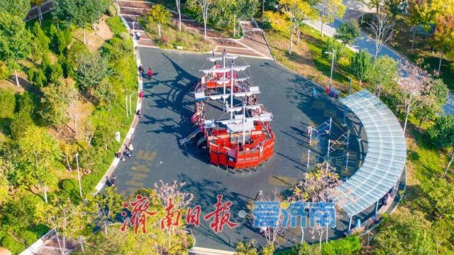 秋色如画正当时 望岳康体公园粉黛花开引客来