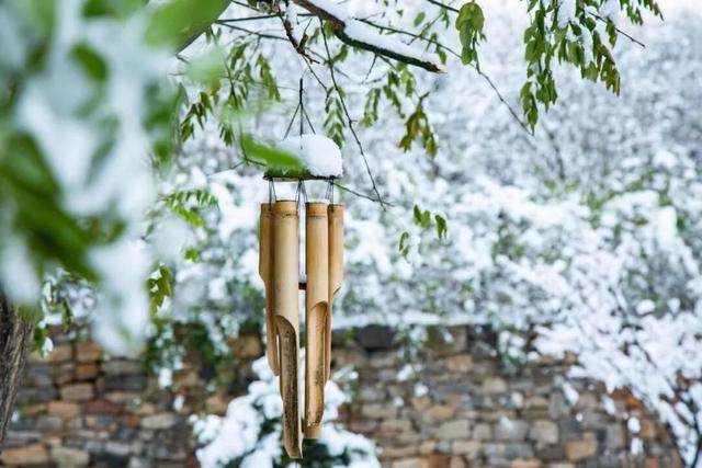 四季皆景，期待重逢！
