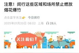 闵行今年99%区域禁放烟花爆竹？图片