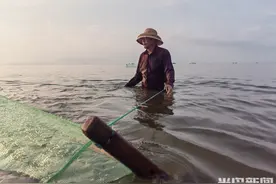 浪里拖网，阡里毛虾上岸记图片