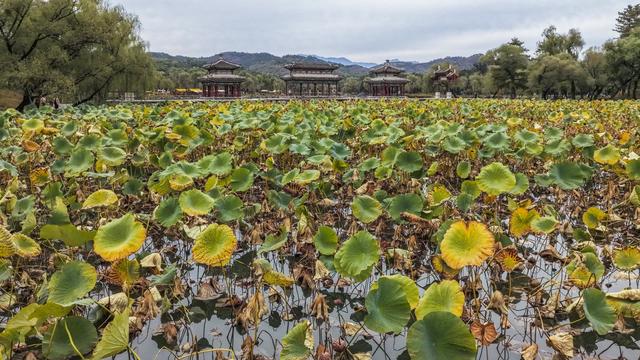 河北承德：避暑山庄秋景如画醉游人