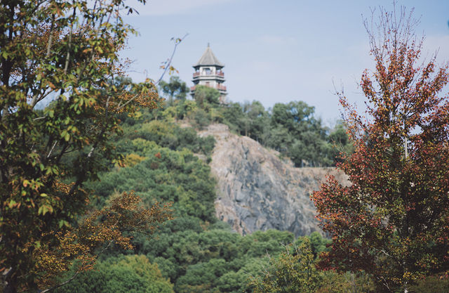 这些五彩山林，竟然都在上海↗
