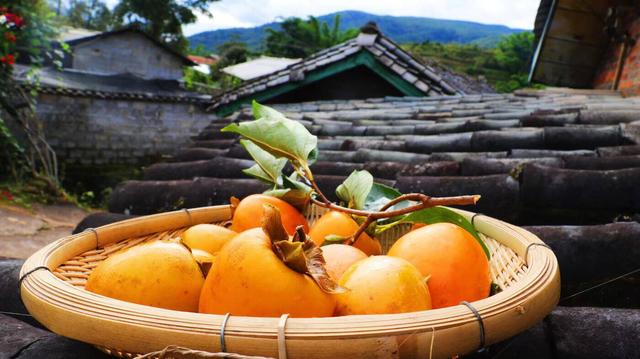 云新闻关注丨诗意旅居，云岭初冬氛围感超绝！