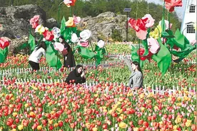 来凤檀木湾村：“郁”见春日好烂漫图片