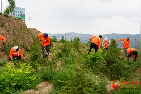 静宁：守护万亩山林 共建绿色家园图片