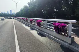 滨海新区喜迎国庆 街头巷尾街景壮丽图片