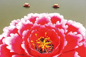 牡丹花动洛阳城图片