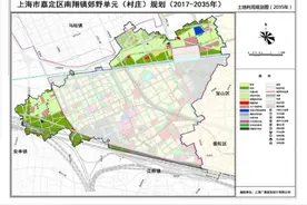 南翔镇郊野单元村庄规划专项调整公布，一起来看→图片