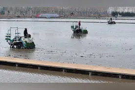 庆安：“无人”技术广泛应用 春耕尽显“科技范”图片