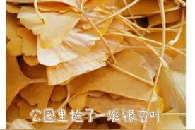 现在满大街都能捡，医生紧急提醒：有毒，停手！图片