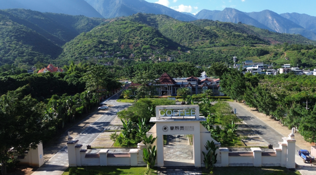 “咖啡+旅居”，梦想照进现实——有一种叫云南的生活之365天