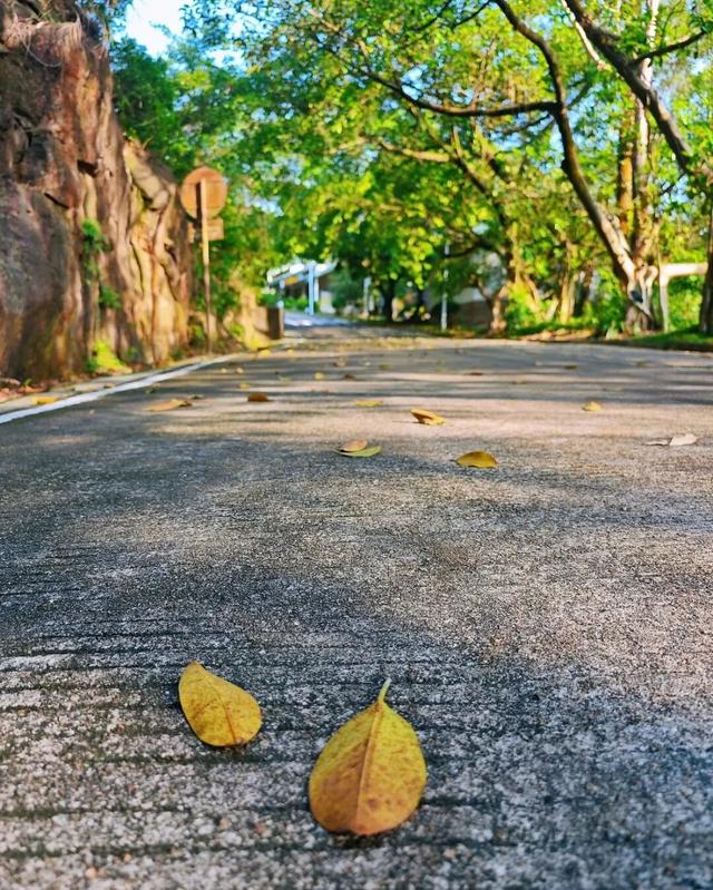跟着赛事游鹤山！动起来！用运动方式打开鹤山～