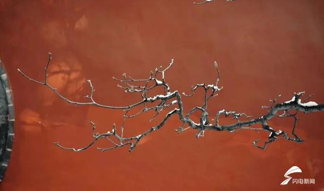 组图丨雪落泰山普照寺 古院美成冬日壁纸