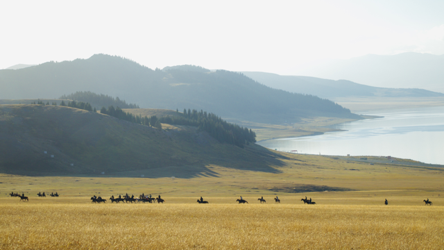 从理光到大疆，年轻人在追逐什么样的新相机