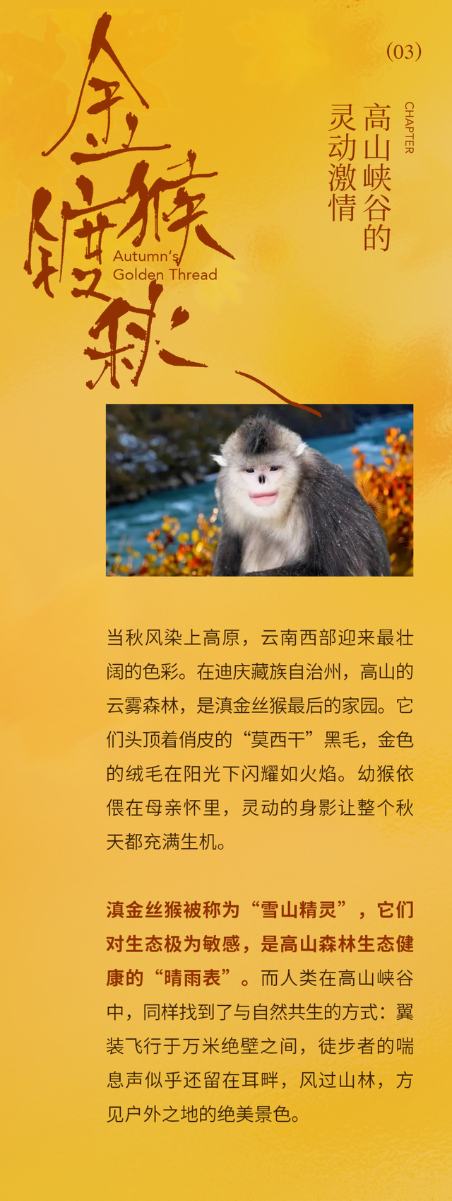 中国“旅居”天花板，为什么还得是云南？