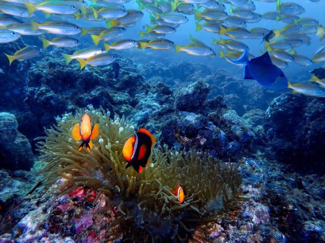 11月最应该去哪里旅行？