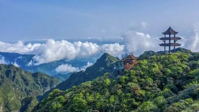 免费！优惠！明天来南宁，过重阳不“重”样！