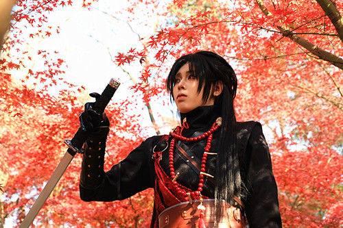 南京中山植物园红枫美到窒息