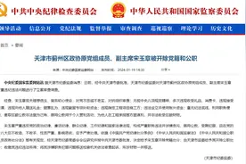 经中共天津市委批准，宋玉章被开除党籍和公职图片
