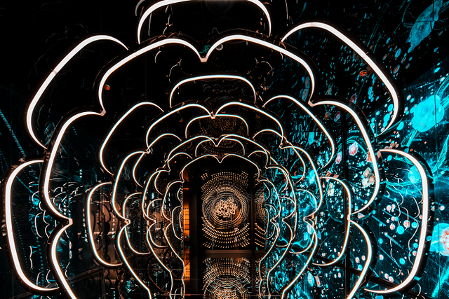 起猛了，我在洛阳被「牡丹」包围了！