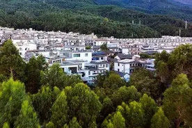 如何让“旅居云南”长红？专家来支招→图片