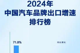 同比增长71.8%，比亚迪2024年汽车出口增速位列中国汽车品牌第一图片