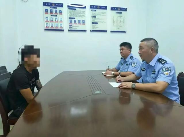 网红海豹“阿侬”被游客拖拽上岸，还被强光照射、扔石头！海南文昌警方倡议→