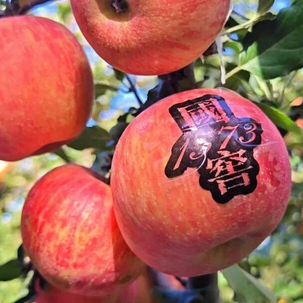 这个秋天，总要来趟马伸桥吧！别错过这条能“充电”的康养旅游环线~