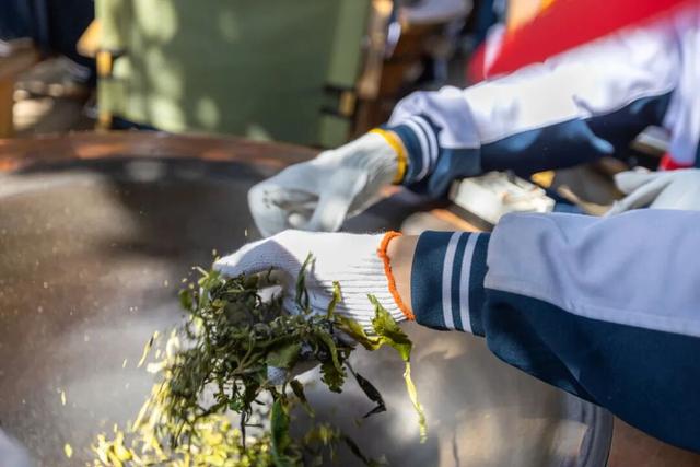 开学季错峰游白沙！神兽归笼，爸妈放松游宝藏攻略请查收~