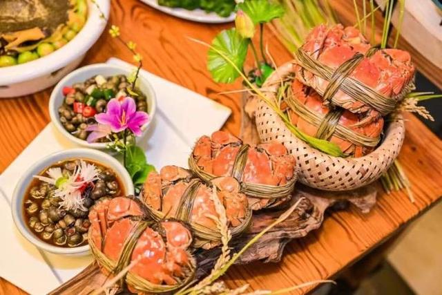 赏美景、吃早茶！长三角首趟泰州美食专列从上海站发出，600余名游客开启三天两晚“慢生活”