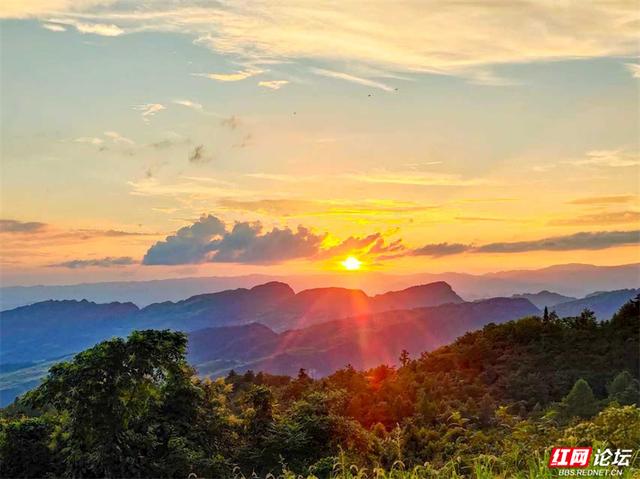 欢庆时刻丨闯入山水画卷，桑植梯田的四季之美