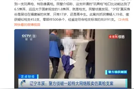 17岁高中生非法贩卖仿真枪被抓图片