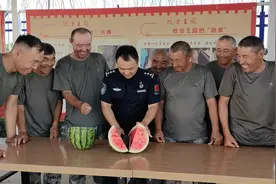 “蚊虫王国”的西瓜熟了图片