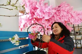 新春走基层|玉渊潭公园高级工程师赵爽：精准花期调控 樱花“随令绽放”图片