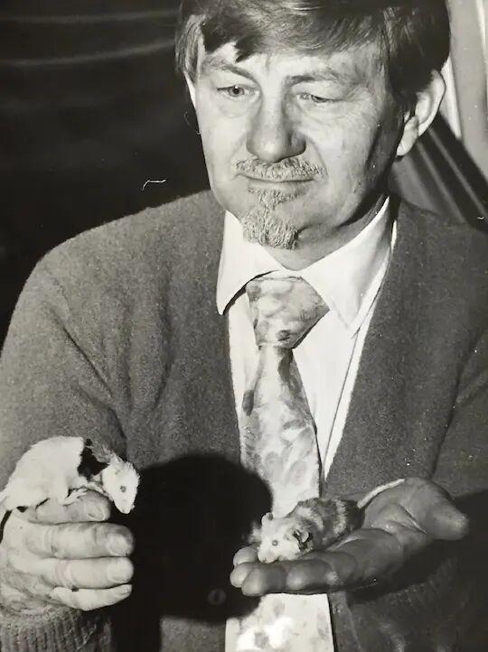 在衣食无忧的“天堂”里，它们自相残杀，然后全员灭亡